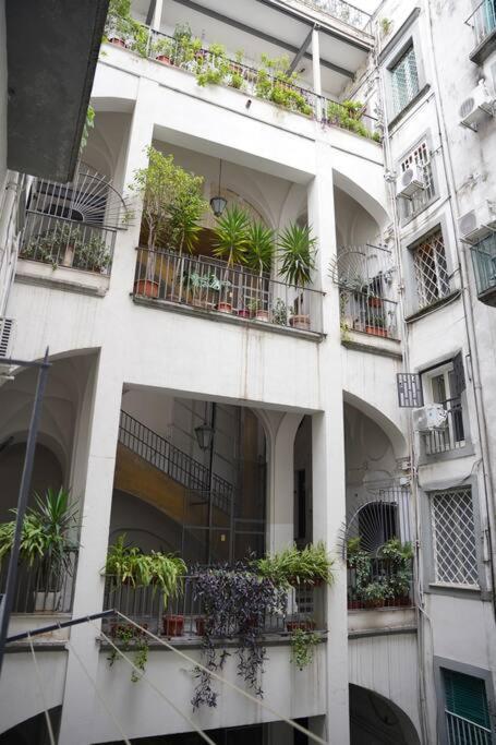 Apartment Maison Olivia, Nuovo In Zona Chiaia Naples